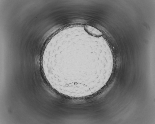 X0000112751113200910011148