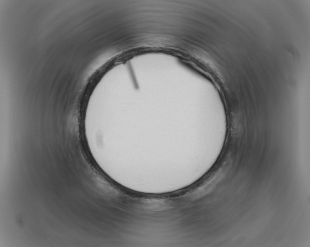 X0000112751114200910011148