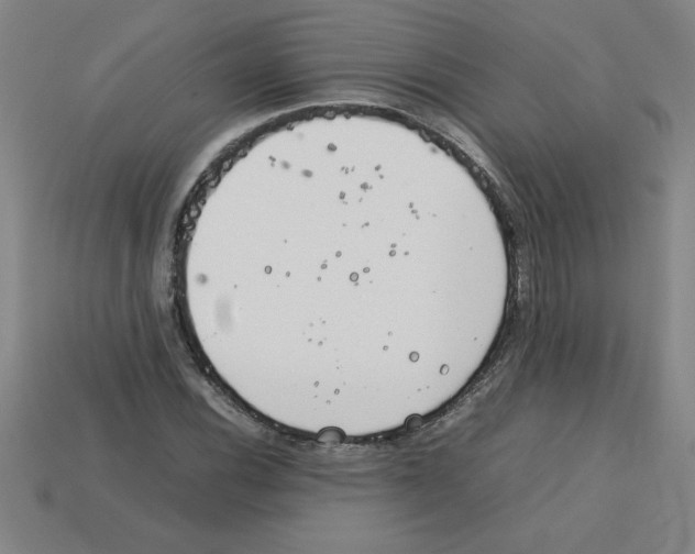 X0000112751116200910011148