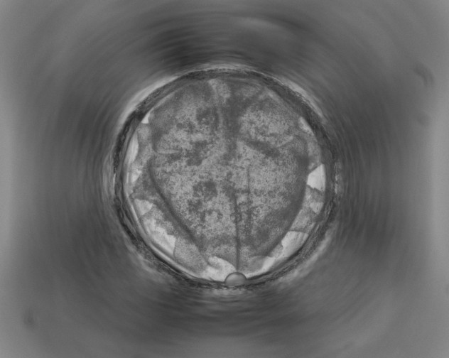 X0000112751117200910011148