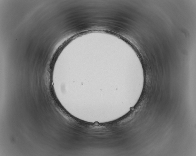 X0000112751119200910011148