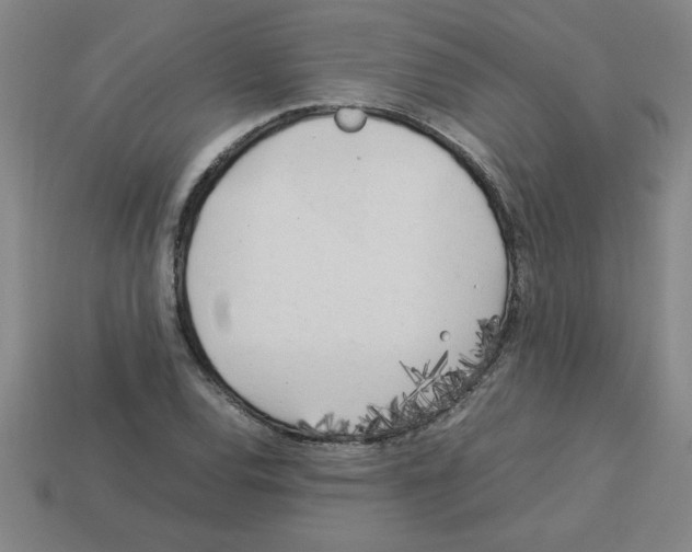 X0000112751120200910011148