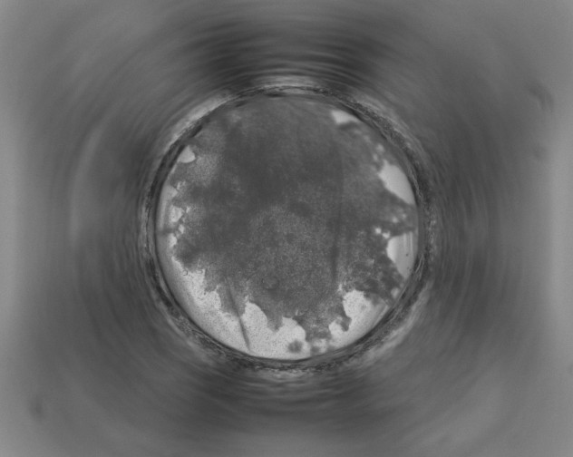 X0000112751121200910011148