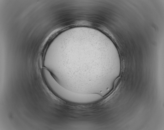 X0000112751123200910011148