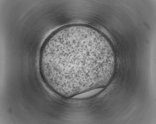 X0000112751124200910011148