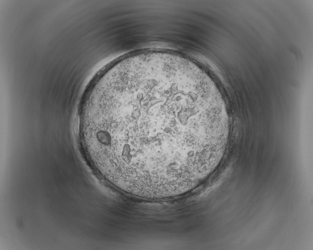 X0000112751125200910011148