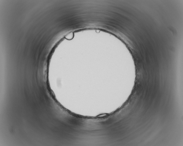 X0000112751126200910011148