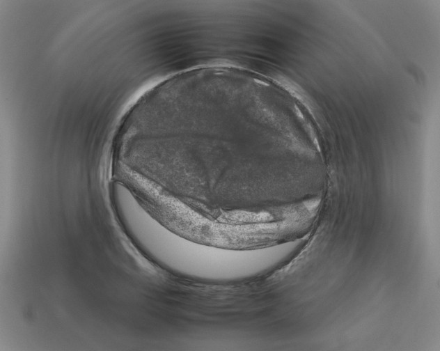 X0000112751127200910011148