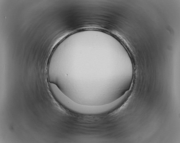 X0000112751129200910011148