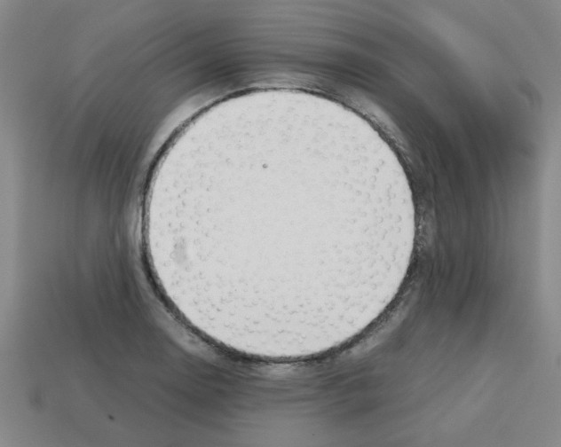 X0000112751130200910011148