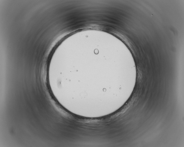 X0000112751131200910011148