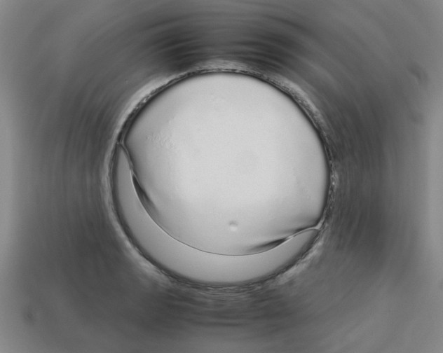 X0000112751133200910011148