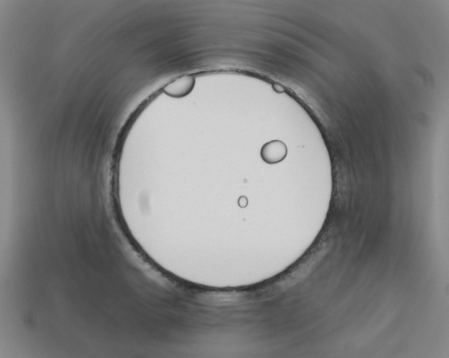 X0000112751134200910011148