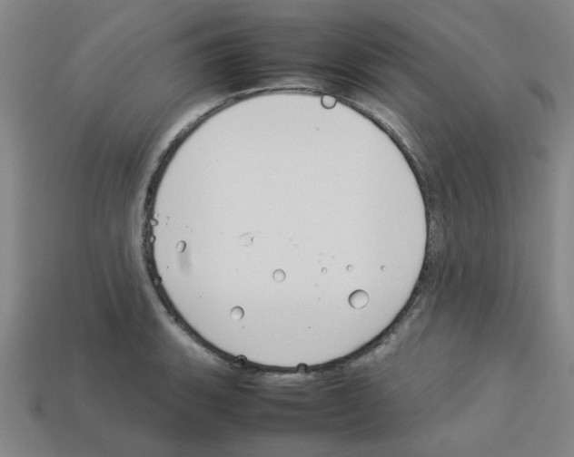 X0000112751135200910011148