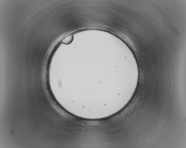 X0000112751136200910011148