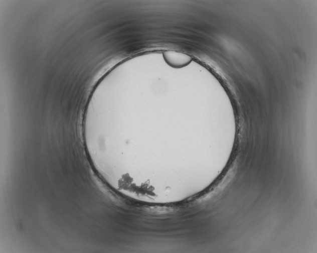 X0000112751137200910011148