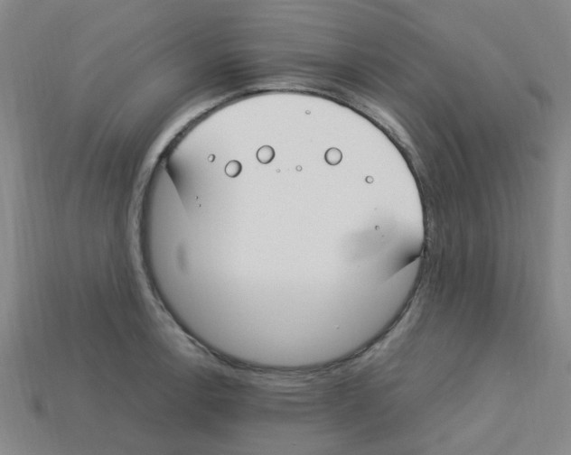 X0000112751138200910011148