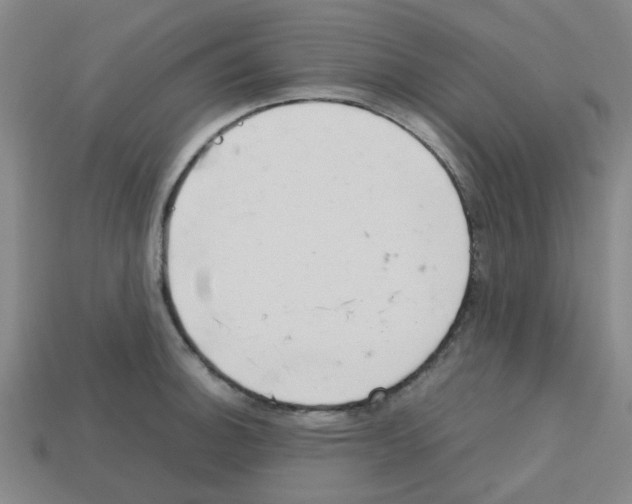 X0000112751140200910011148