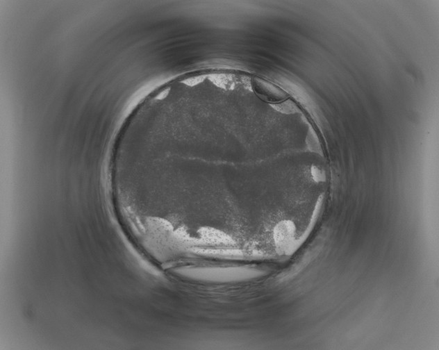 X0000112751141200910011148