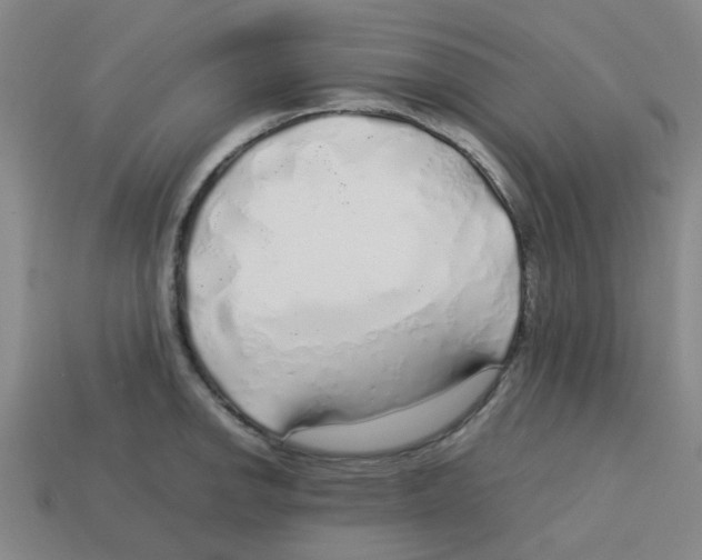 X0000112751142200910011148