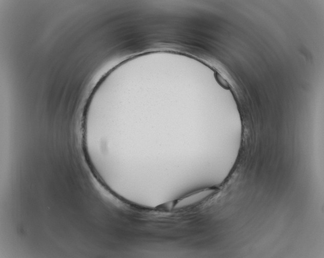 X0000112751143200910011148