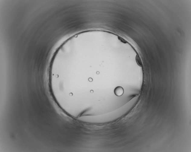 X0000112751144200910011148