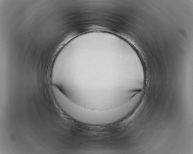 X0000112751145200910011148