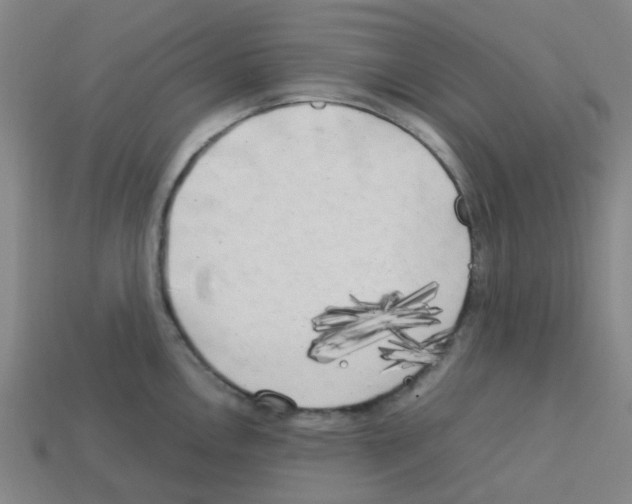 X0000112751146200910011148