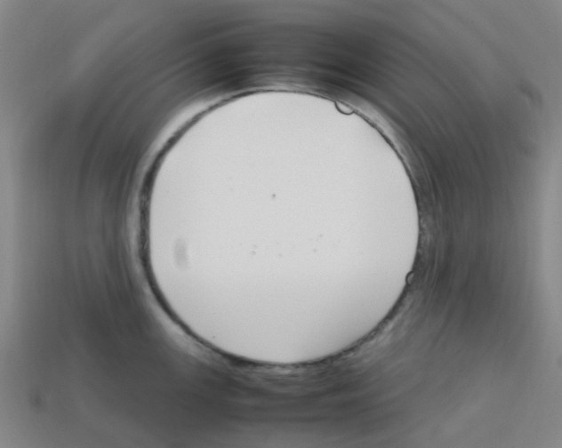 X0000112751147200910011148