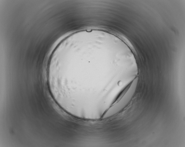 X0000112751148200910011148