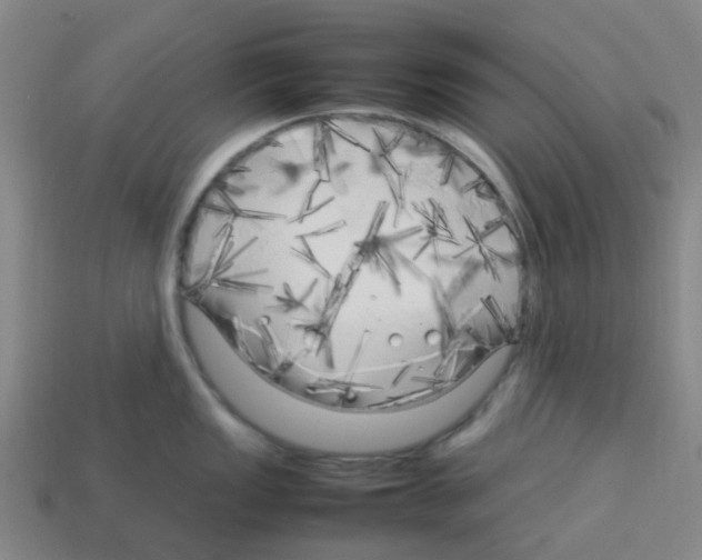 X0000112751149200910011148