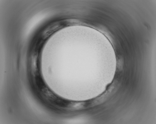 X0000112751150200910011148