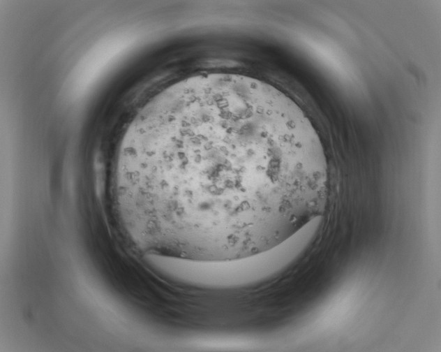 X0000112751151200910011149