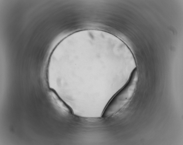 X0000112751152200910011149