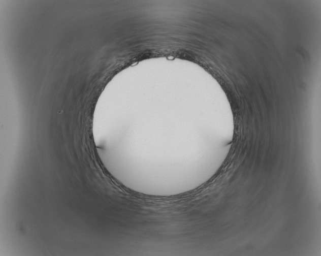 X0000112751153200910011148