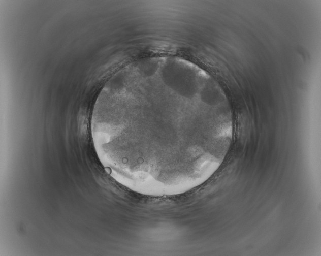 X0000112751154200910011148