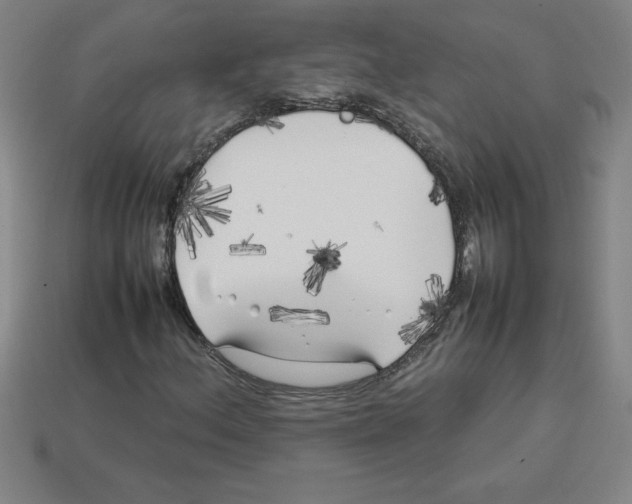 X0000112751156200910011148