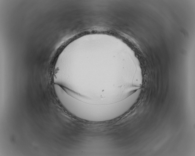 X0000112751160200910011148