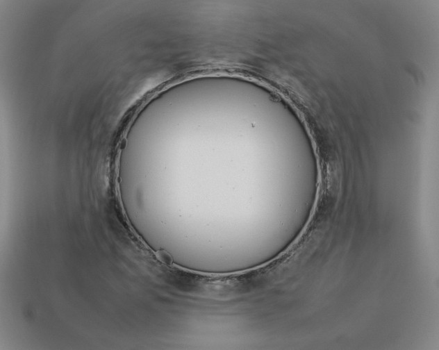 X0000112751165200910011148