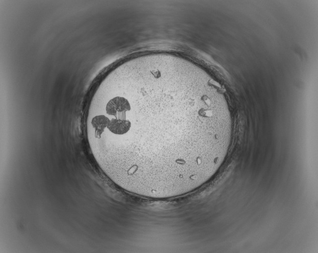 X0000112751166200910011148