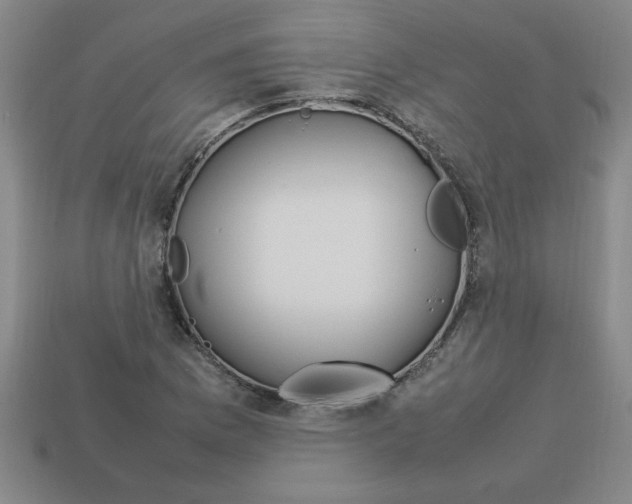 X0000112751169200910011148