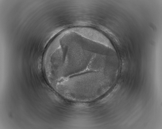 X0000112751170200910011148