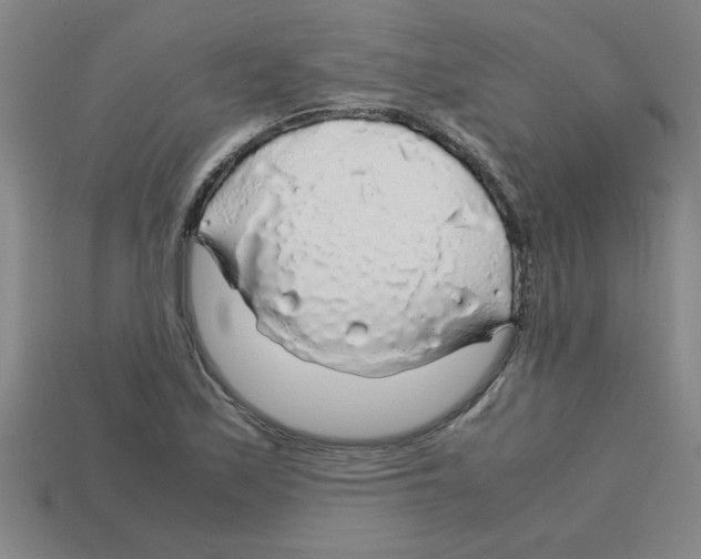 X0000112751171200910011148