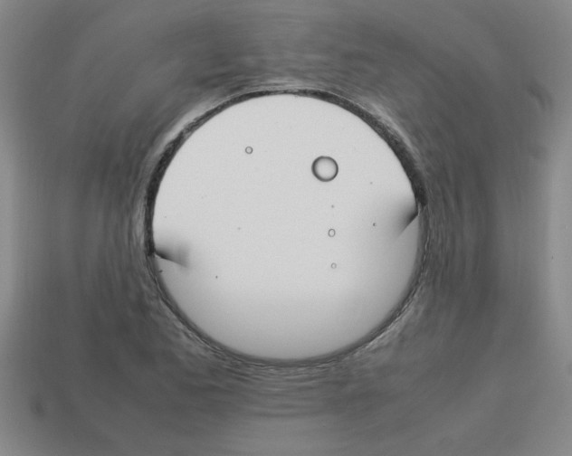 X0000112751173200910011148