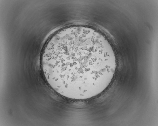 X0000112751174200910011148