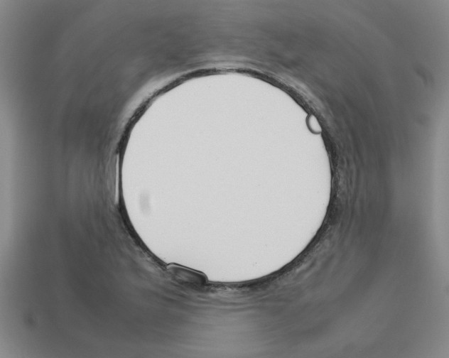 X0000112751175200910011148