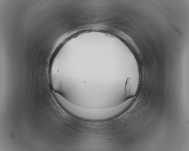 X0000112751176200910011148