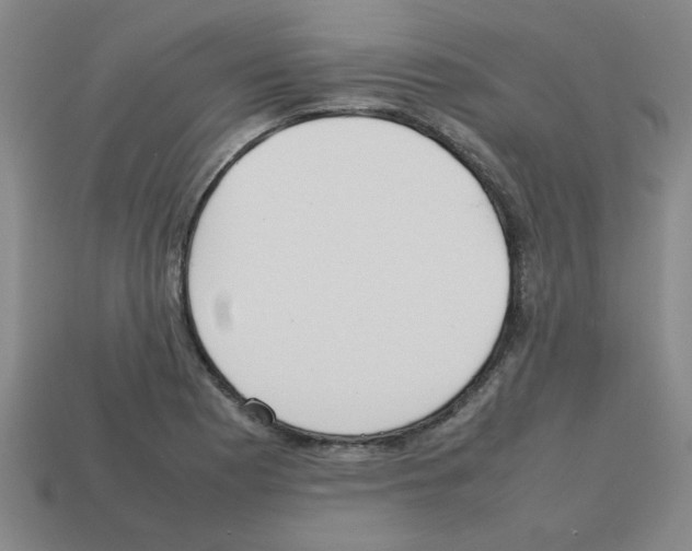 X0000112751177200910011148