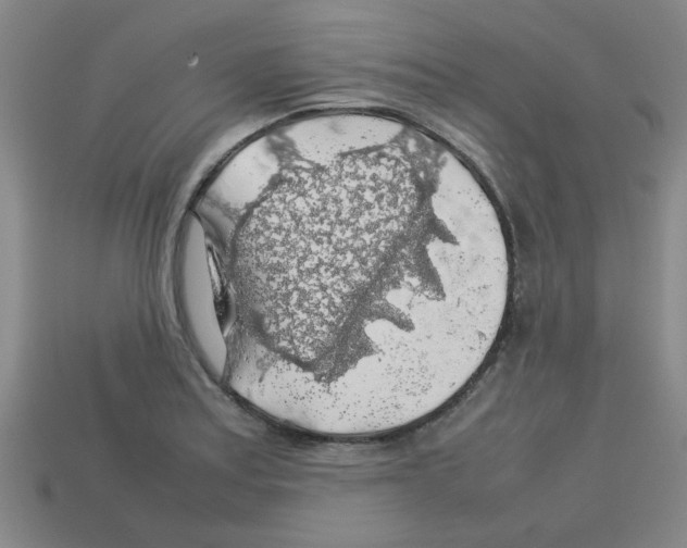 X0000112751179200910011148