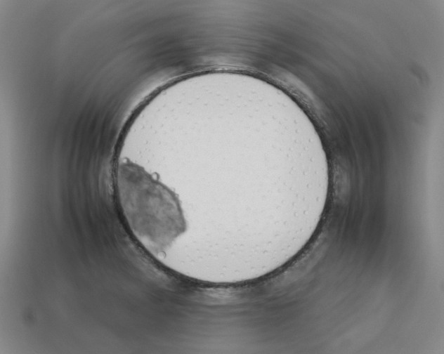 X0000112751182200910011148